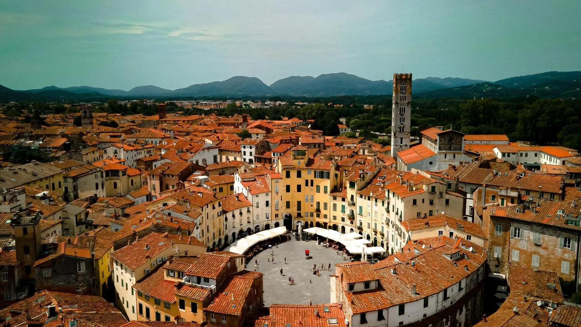 Appartamento Le Mimose In Lucca - Happy Rentals Daire